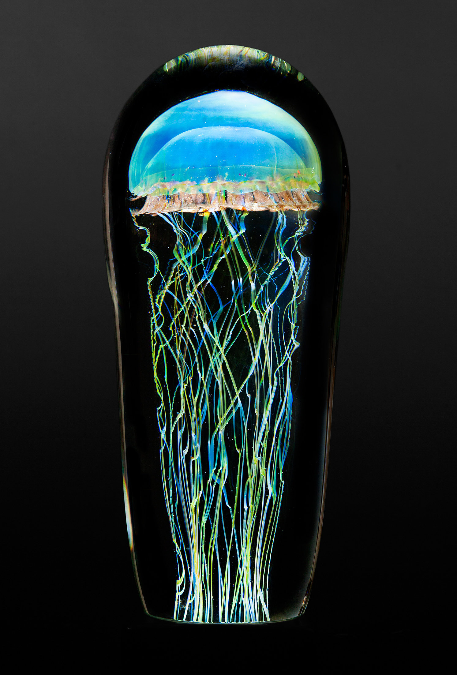 Moon Jellyfish Large by Richard Satava (Art Glass Sculpture) | Artful Home