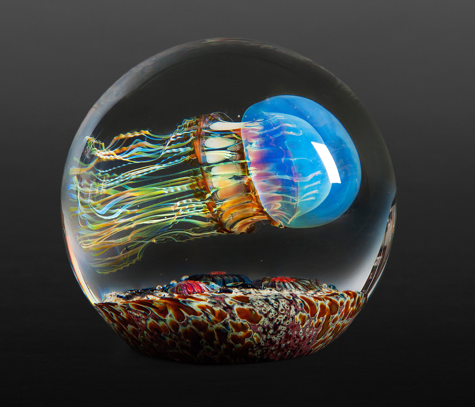 Moon Jellyfish Side Swimmer by Richard Satava (Art Glass Paperweight)  Artful Home